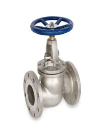Buy globe valve in USA